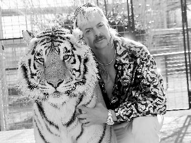 《养虎为患》成美国“话题王”