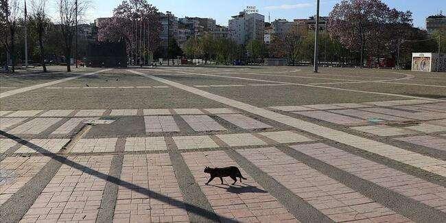 土耳其2756人因违反禁足令被处罚