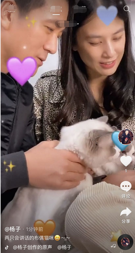 黄圣依与老公儿子撸猫 一家人有说有笑十分温馨