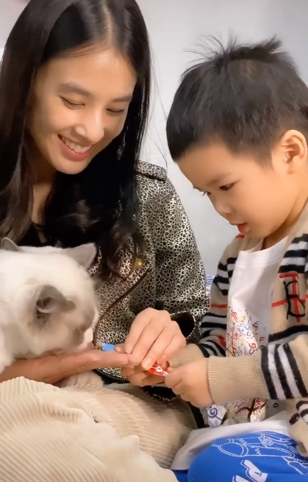 黄圣依与老公儿子撸猫 一家人有说有笑十分温馨