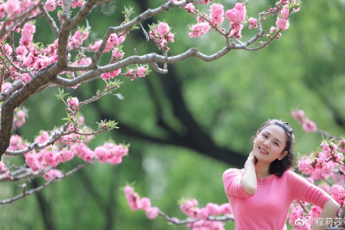 程莉莎穿粉衣置身花丛 郭晓东亲自掌镜画面唯美浪漫