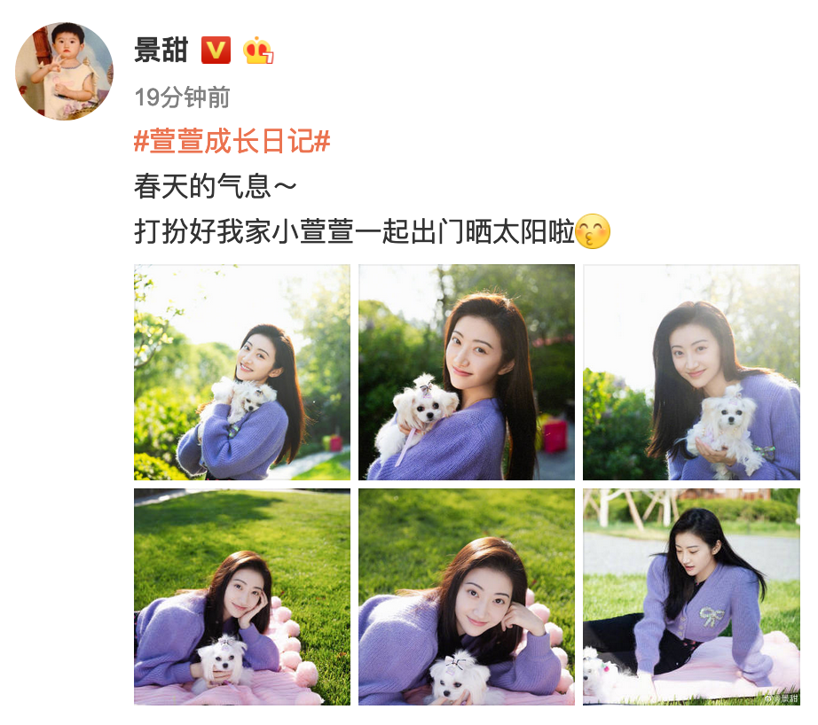 景甜分享近照记录爱犬成长 沐浴阳光惬意悠闲