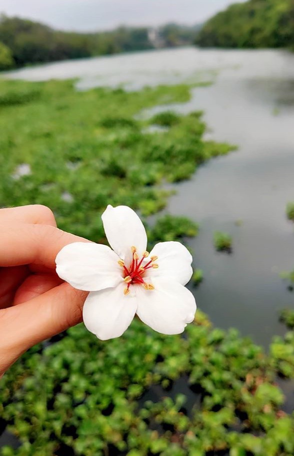 田馥甄分享踏青出游照 扎麻花辫戴墨镜装扮随意休闲