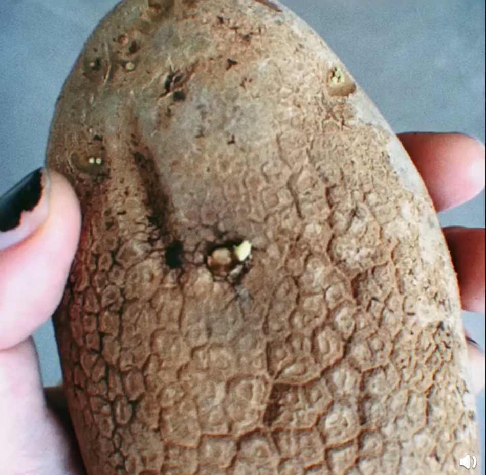 郭采洁宅家下厨做咖喱饭 素颜短发蓬松凌乱显随意悠闲