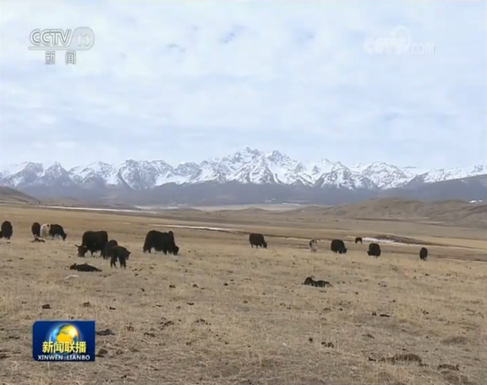 7天5次破纪录！多国来华硬核“自提”，这个机场功不可没！