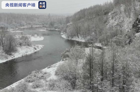 7天5次破纪录！多国来华硬核“自提”，这个机场功不可没！