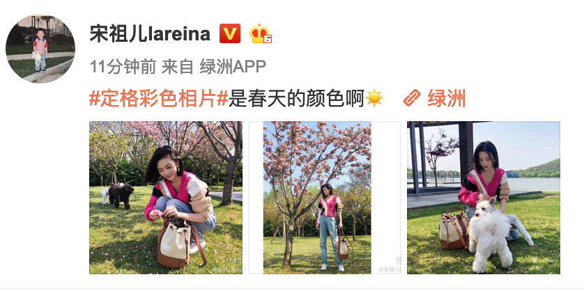 宋祖儿外出踏青晒美照 粉毛衣配高腰牛仔裤活力十足