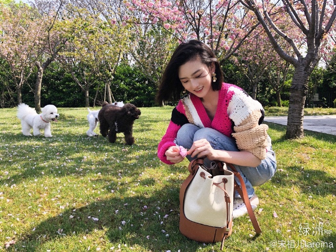 宋祖儿外出踏青晒美照 粉毛衣配高腰牛仔裤活力十足