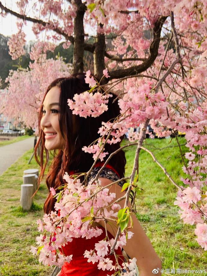 温碧霞樱花写真娇艳明媚 温柔嗅花笑容甜美少女感足