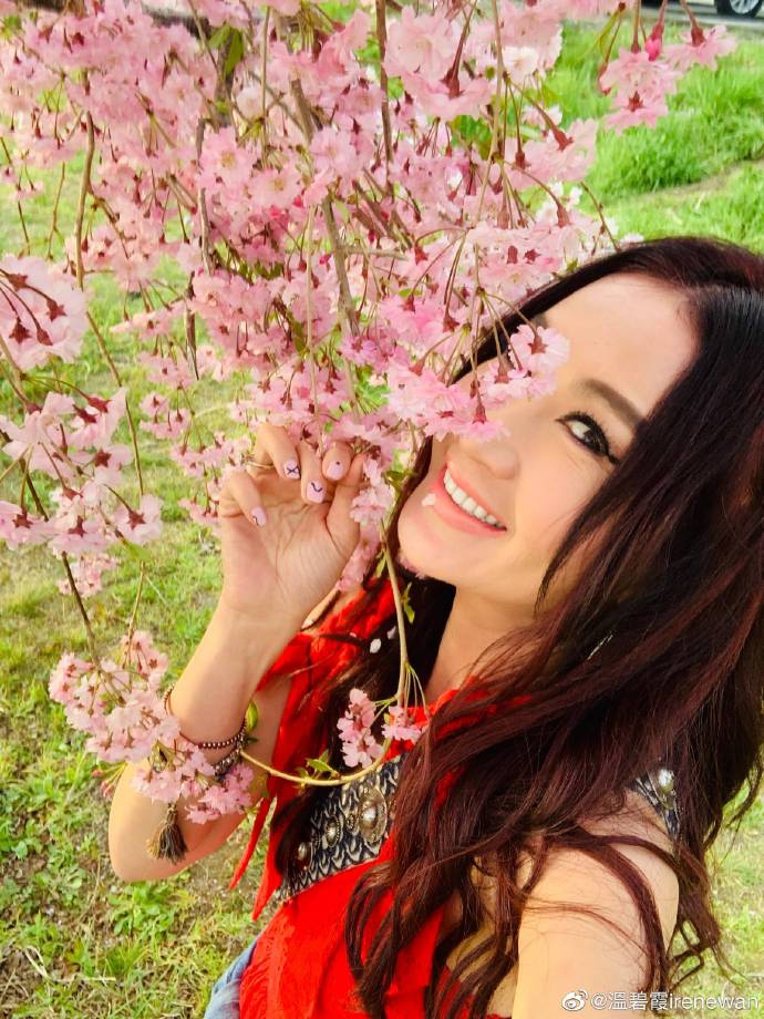 温碧霞樱花写真娇艳明媚 温柔嗅花笑容甜美少女感足