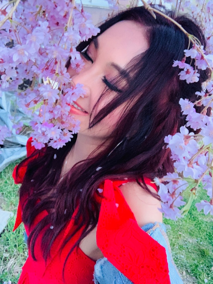 温碧霞樱花写真娇艳明媚 温柔嗅花笑容甜美少女感足