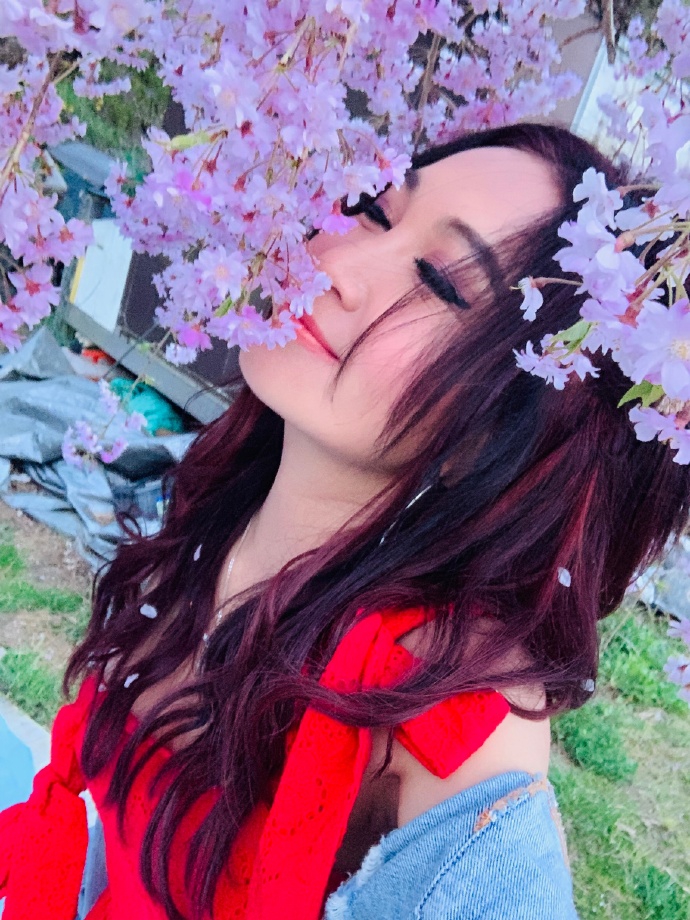 温碧霞樱花写真娇艳明媚 温柔嗅花笑容甜美少女感足