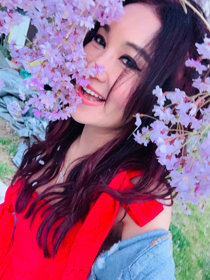 温碧霞樱花写真娇艳明媚 温柔嗅花笑容甜美少女感足