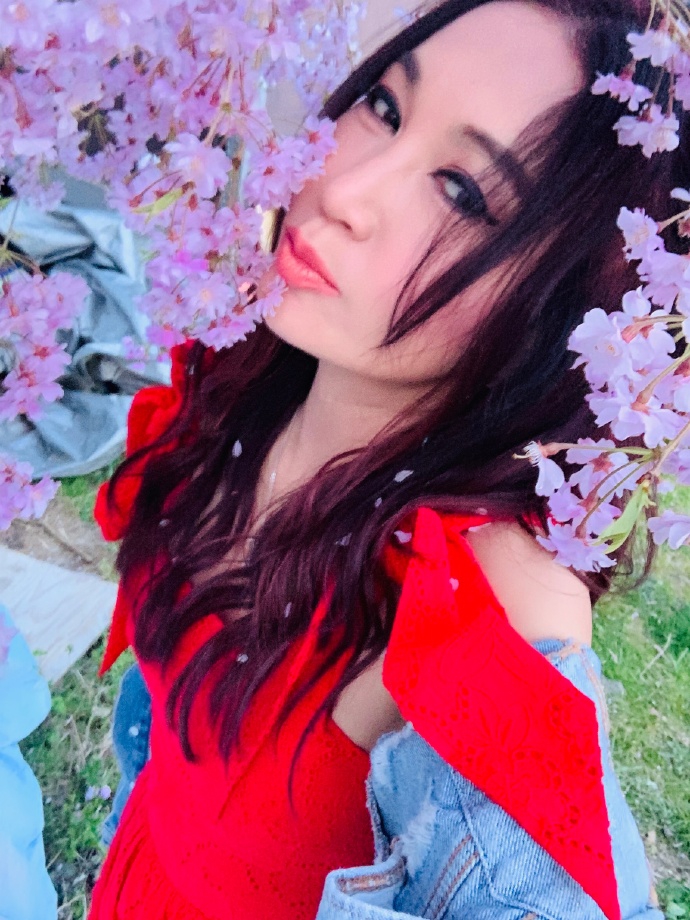 温碧霞樱花写真娇艳明媚 温柔嗅花笑容甜美少女感足