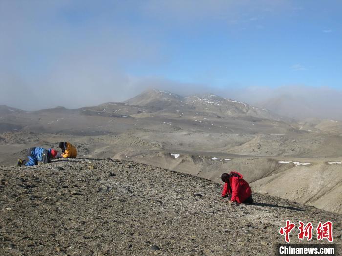 最新研究：4000万年前远古南极或拥有暖温带气候