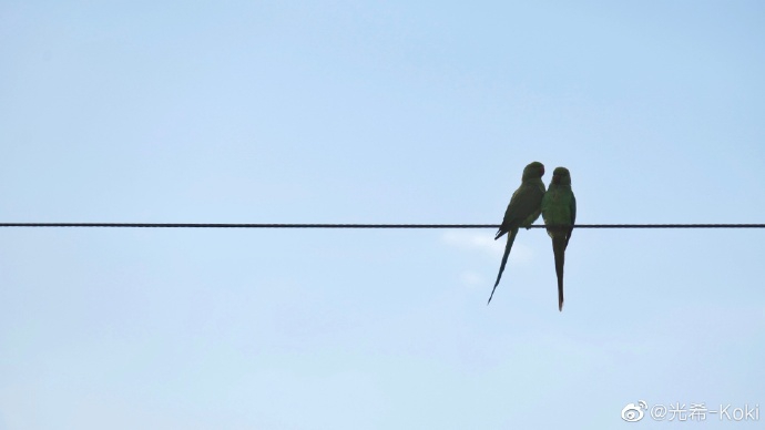 木村光希雨后写真清新俊逸 回眸一笑温暖明媚超迷人