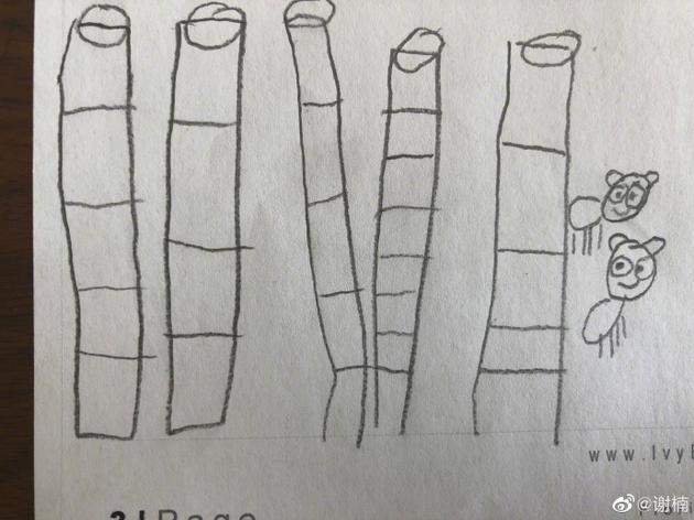 谢楠晒吴所谓画的搞笑熊猫 忍不住发问：谁能信？