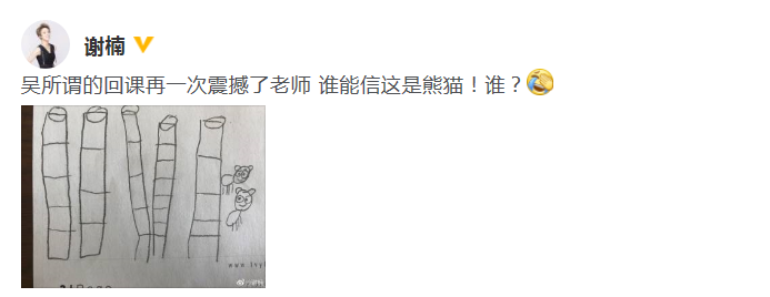 谢楠晒吴所谓画的搞笑熊猫 忍不住发问：谁能信？