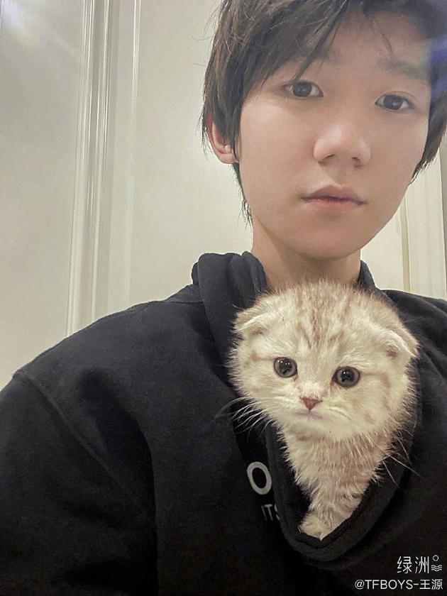 终于有猫了!王源晒与猫猫合影：会好好照顾它