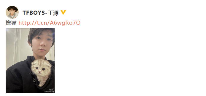 终于有猫了!王源晒与猫猫合影：会好好照顾它