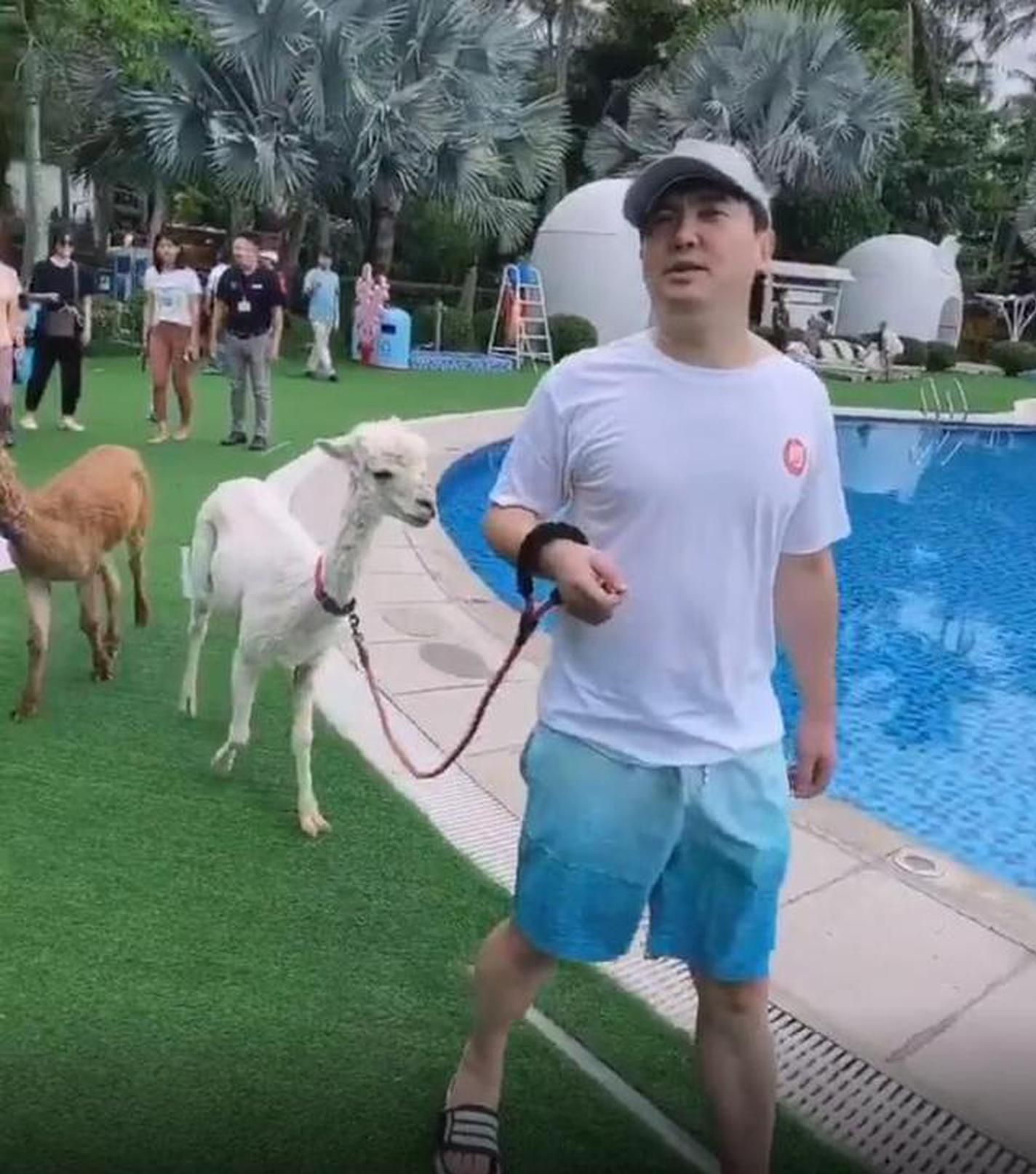 自带笑点的男人！沈腾穿裤衩踩拖鞋悠闲遛羊驼