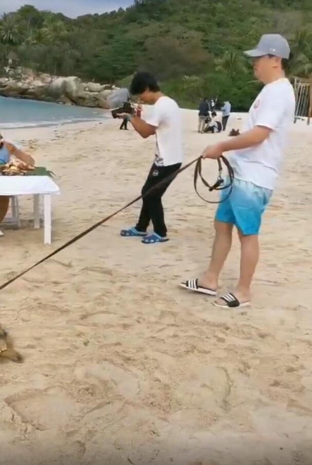 自带笑点的男人！沈腾穿裤衩踩拖鞋悠闲遛羊驼