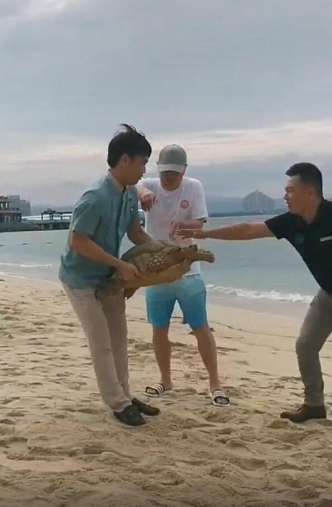 自带笑点的男人！沈腾穿裤衩踩拖鞋悠闲遛羊驼