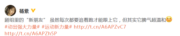 新朋友！杨紫晒剧组的小狗 大呼可爱想带回家