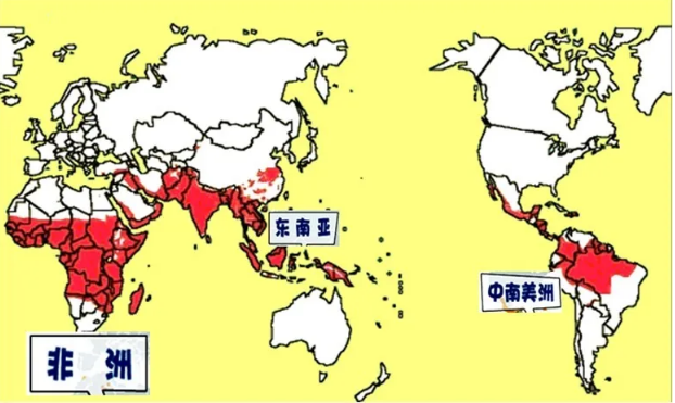 警惕!男子回国后发烧39.5℃!不是新冠肺炎,是另一种传染病
