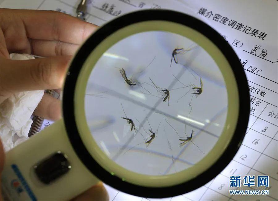 警惕!男子回国后发烧39.5℃!不是新冠肺炎,是另一种传染病