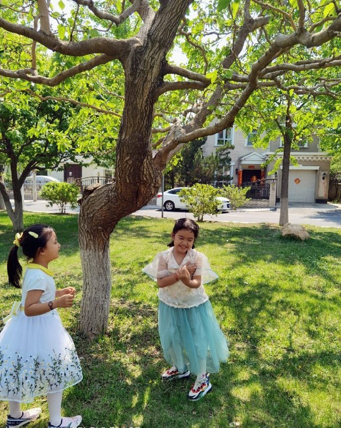 包文婧分享女儿春日萌照 饺子穿纱裙草坪玩耍俏皮可爱