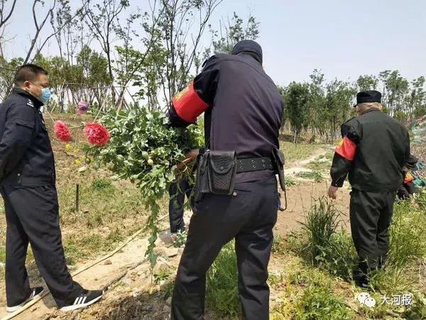 郑州贾鲁河景观廊道边，竟种了一片罂粟，谁干的？