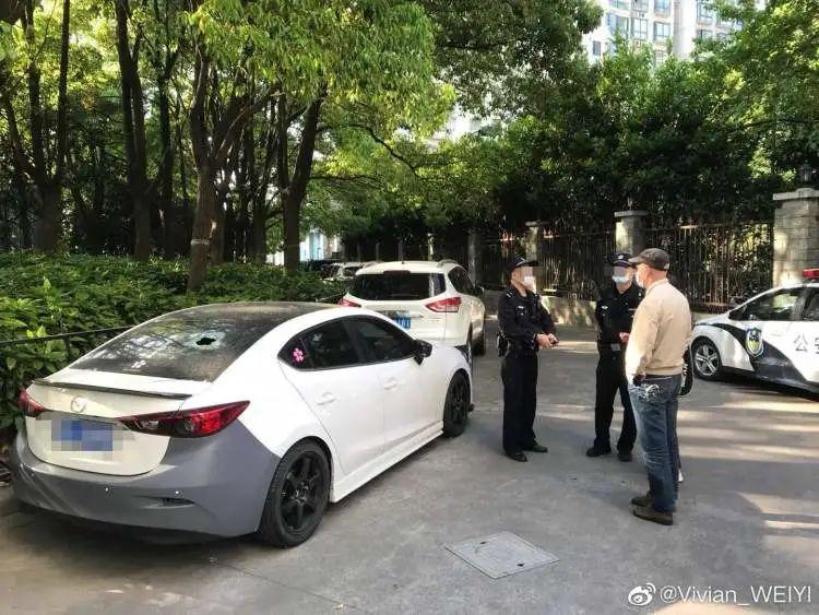 吓人!一大早发现车窗上被砸出大窟窿,罪魁祸首又是…