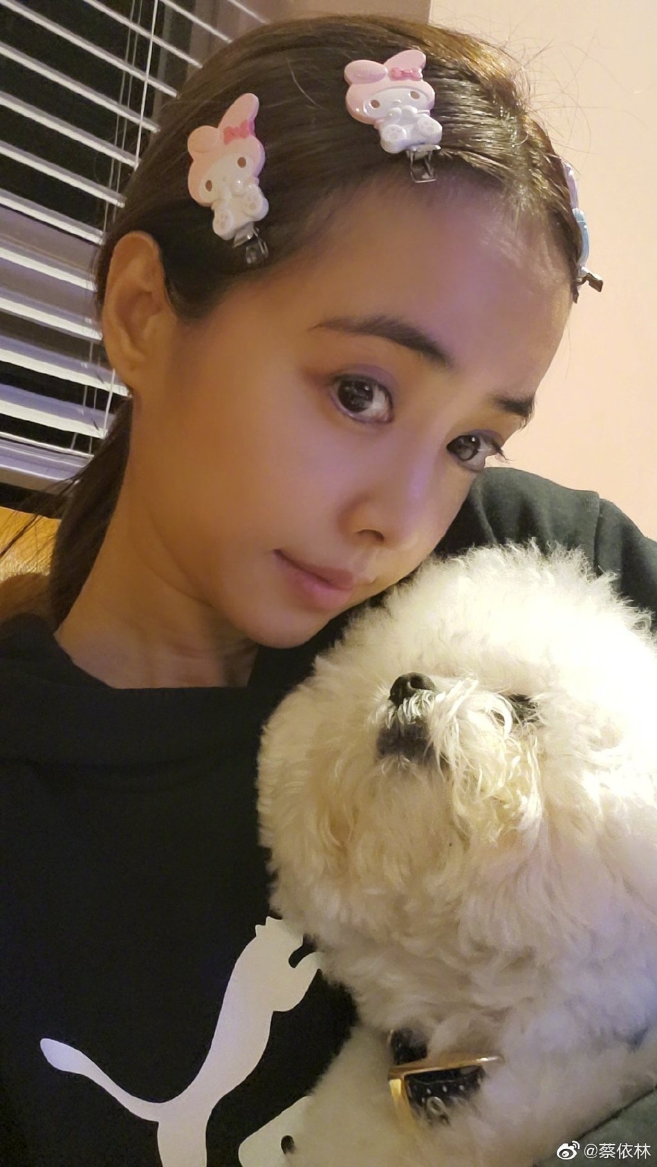 蔡依林晒美照素颜能打 头上夹满兔子发卡少女心爆棚