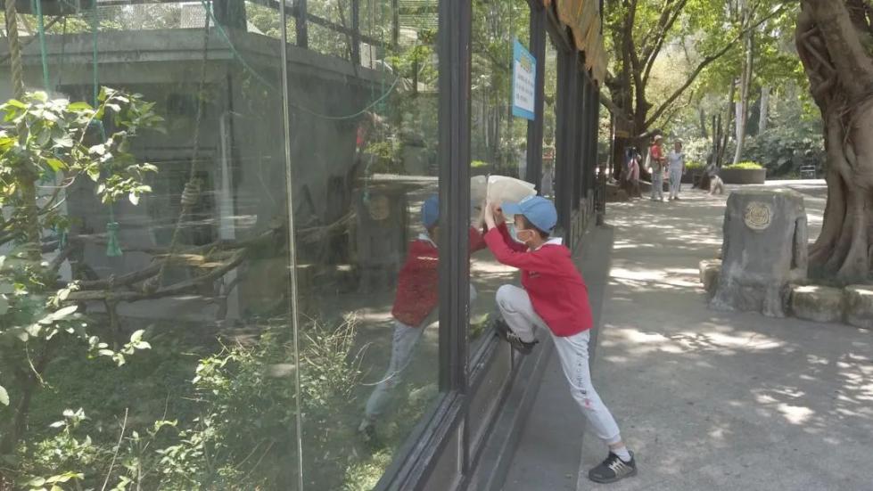 熊熊熊熊熊熊熊熊熊熊猫出没！