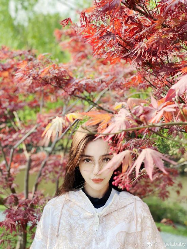 Angelababy分享花间美照 求网友调色直呼“尽力了”