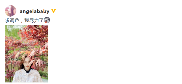 Angelababy分享花间美照 求网友调色直呼“尽力了”