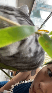 窦靖童宅家逗猫可爱俏皮 罕见穿吊带出镜肩膀胎记醒目