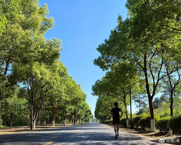杨洋晨跑打卡精神抖擞 不忘发文督促粉丝多运动