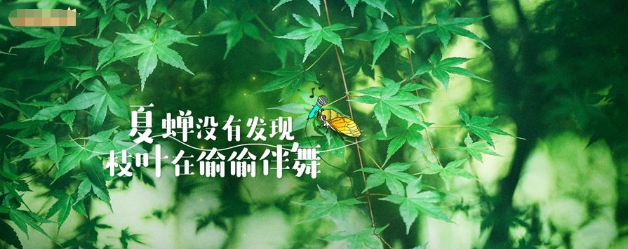 《奇妙小森林》定档530 回归自然开启森林新玩法