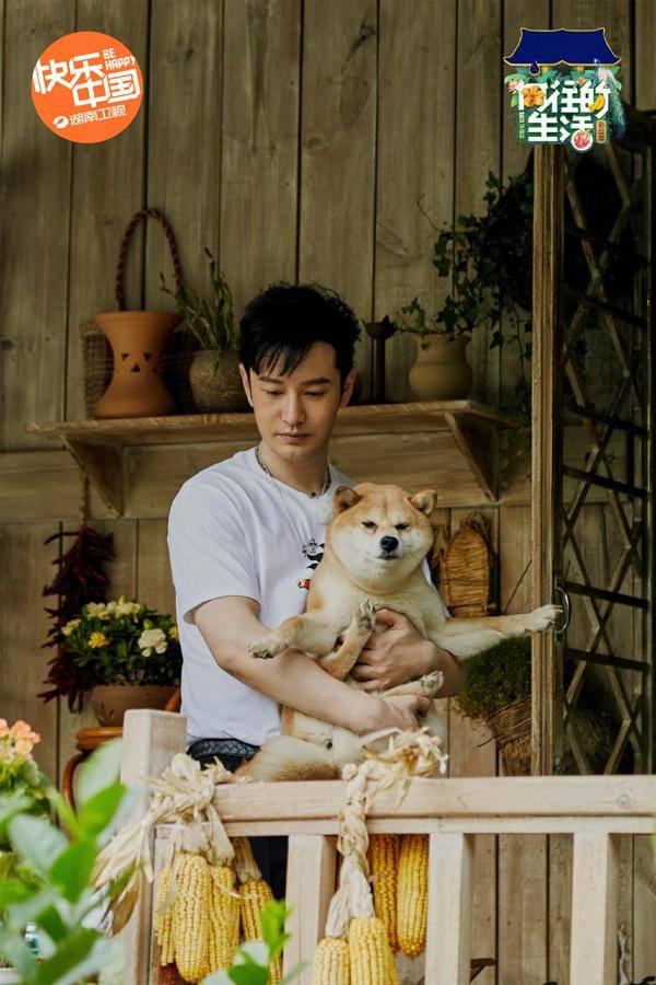 黄晓明《向往4》里“认真减肥”蘑菇屋中惊闻“再来一块”