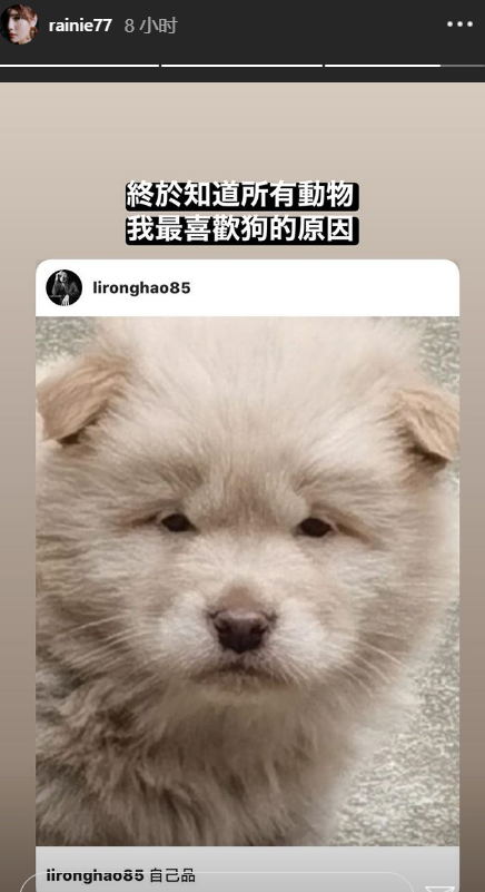 李荣浩自嘲撞脸松狮犬 杨丞琳称是自己爱狗的原因