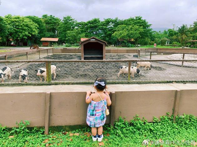 谢依霖带娃去农场踏青 女儿吃饲用胡萝卜闹笑话