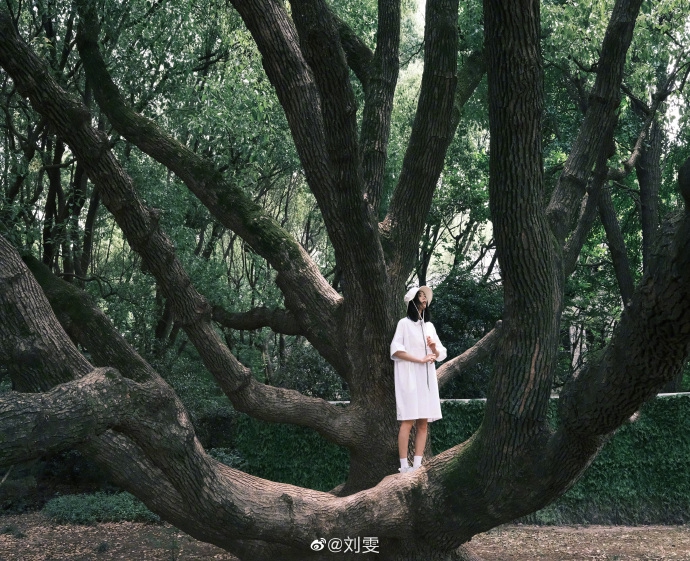 刘雯穿白色运动装 秀长腿气质清爽