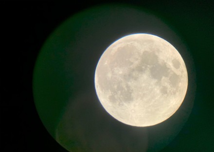 夏雨晒宅家观月照 妻子袁泉别样出镜暗撒狗粮