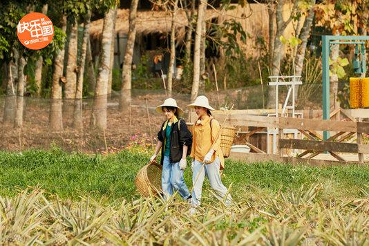 蘑菇屋新朋老友来会面 《向往4》真情满溢众人心