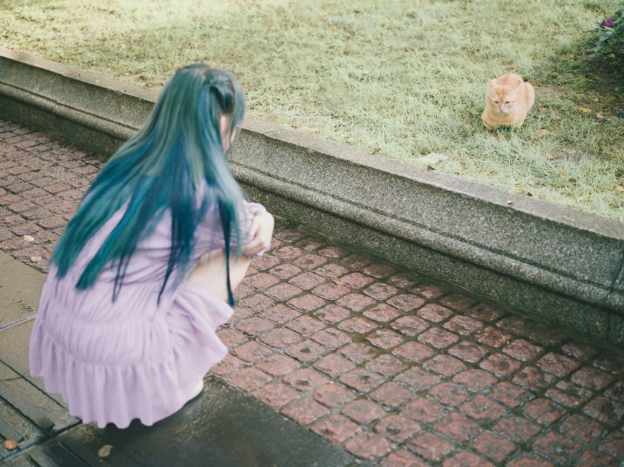 程潇一头蓝发似从漫画中走出 蹲地上看猫恬静美好