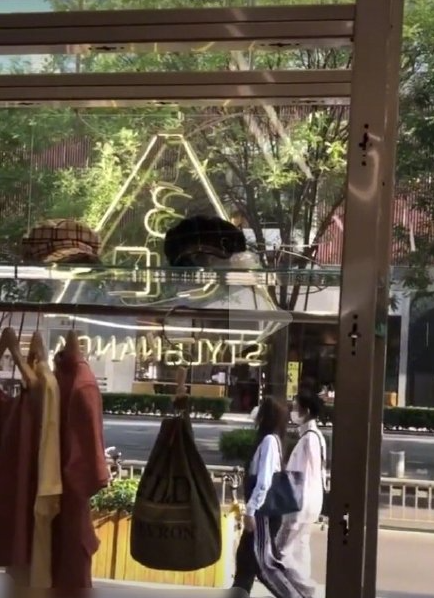 大虞海棠营业了！虞书欣赵小棠手牵手逛街被偶遇