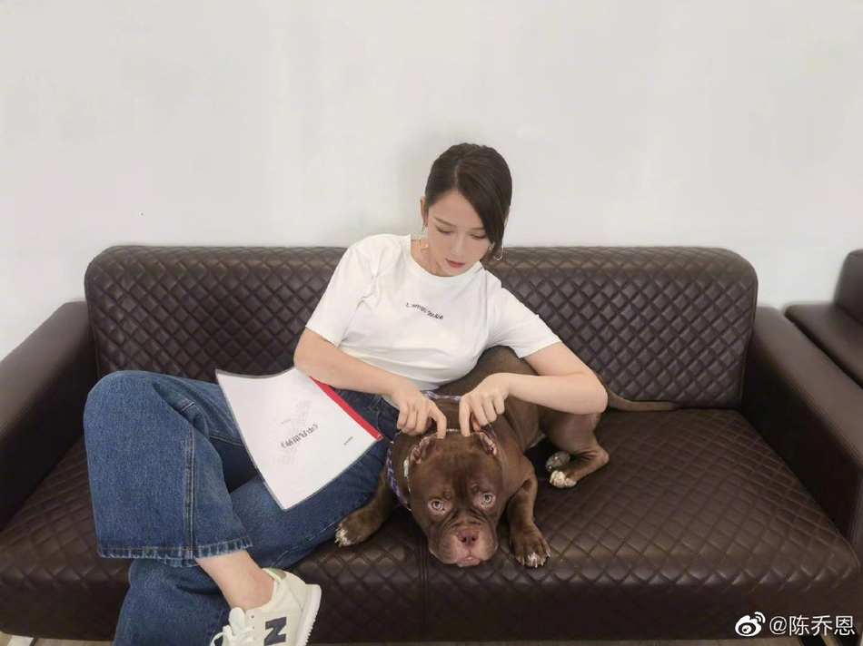 陈乔恩穿简约白T配牛仔裤 跷二郎腿与狗狗玩耍超悠闲