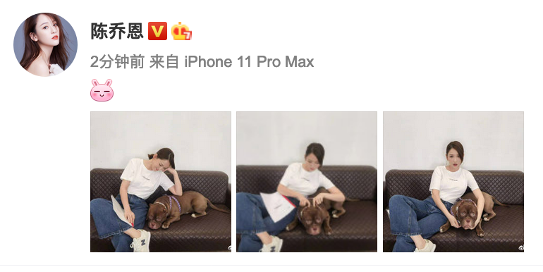 陈乔恩穿简约白T配牛仔裤 跷二郎腿与狗狗玩耍超悠闲